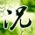 伊能静易立竞都选奕境